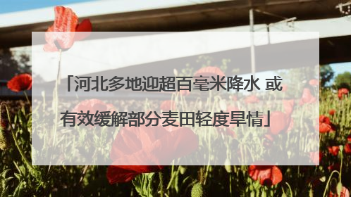 河北多地迎超百毫米降水 或有效缓解部分麦田轻度旱情