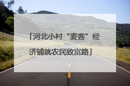 河北小村“麦客”经济铺就农民致富路