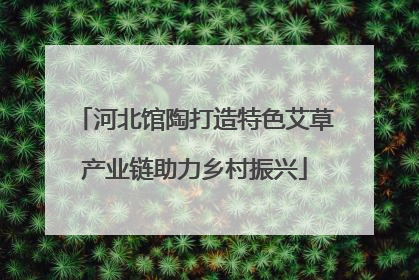 河北馆陶打造特色艾草产业链助力乡村振兴