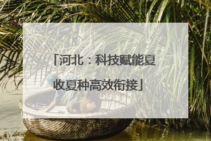 河北：科技赋能夏收夏种高效衔接