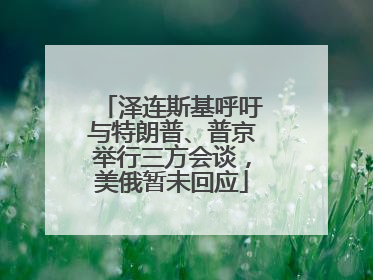 泽连斯基呼吁与特朗普、普京举行三方会谈，美俄暂未回应
