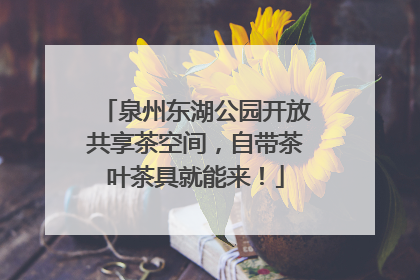 泉州东湖公园开放共享茶空间，自带茶叶茶具就能来！