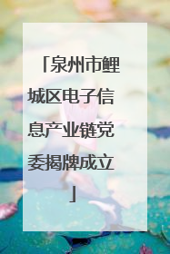 泉州市鲤城区电子信息产业链党委揭牌成立