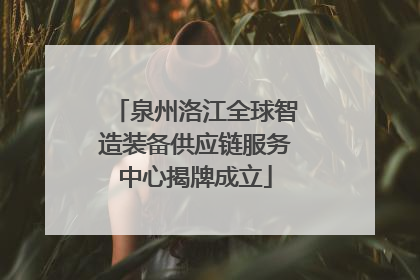 泉州洛江全球智造装备供应链服务中心揭牌成立