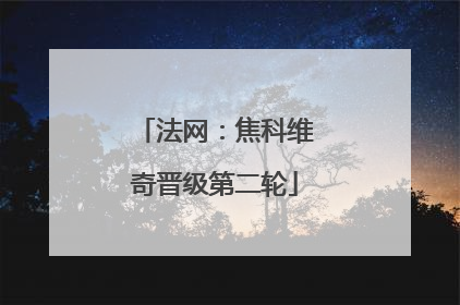 法网：焦科维奇晋级第二轮