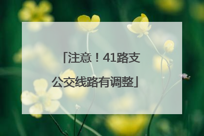 注意！41路支公交线路有调整