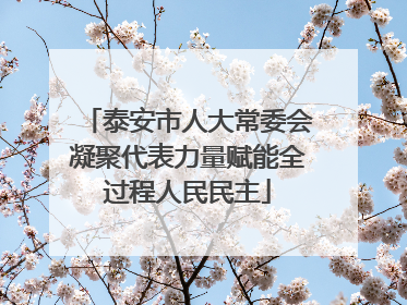 泰安市人大常委会凝聚代表力量赋能全过程人民民主