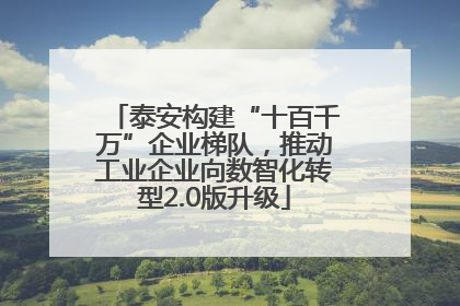 泰安构建“十百千万”企业梯队，推动工业企业向数智化转型2.0版升级