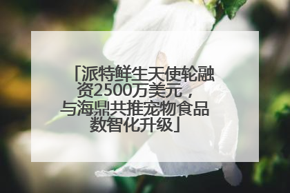 派特鲜生天使轮融资2500万美元，与海鼎共推宠物食品数智化升级