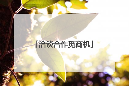 洽谈合作觅商机