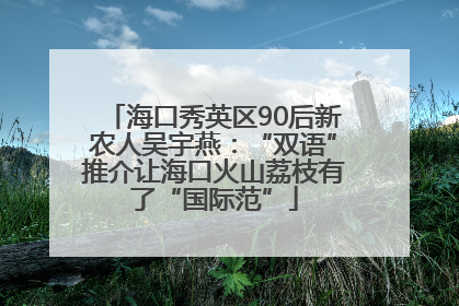 海口秀英区90后新农人吴宇燕：“双语”推介让海口火山荔枝有了“国际范”