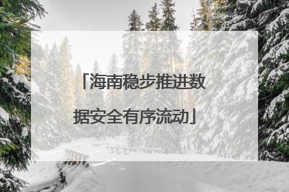 海南稳步推进数据安全有序流动