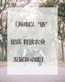 海南以“链”提质 释放农业发展新动能