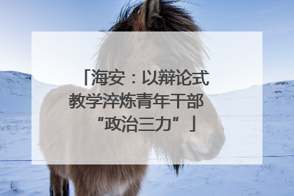 海安：以辩论式教学淬炼青年干部“政治三力”
