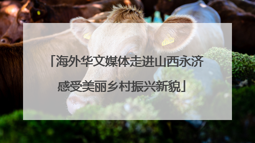 海外华文媒体走进山西永济 感受美丽乡村振兴新貌