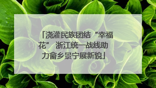 浇灌民族团结“幸福花” 浙江统一战线助力畲乡景宁展新貌
