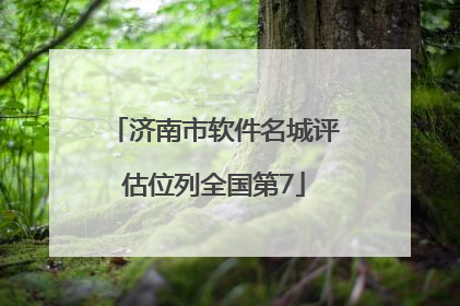 济南市软件名城评估位列全国第7