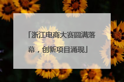 浙江电商大赛圆满落幕，创新项目涌现