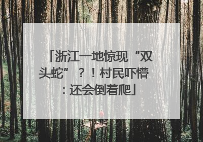 浙江一地惊现“双头蛇”？！村民吓懵：还会倒着爬