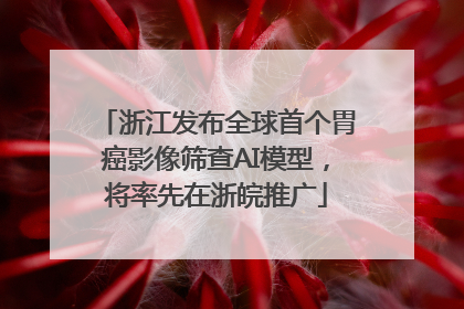 浙江发布全球首个胃癌影像筛查AI模型，将率先在浙皖推广