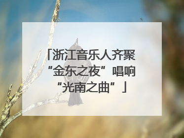 浙江音乐人齐聚“金东之夜”唱响“光南之曲”