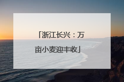 浙江长兴：万亩小麦迎丰收