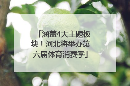 涵盖4大主题板块！河北将举办第六届体育消费季