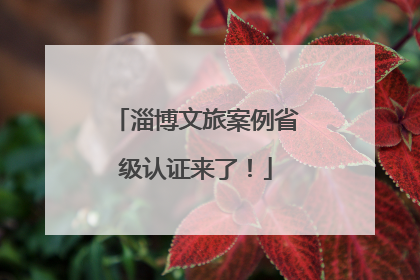 淄博文旅案例省级认证来了！