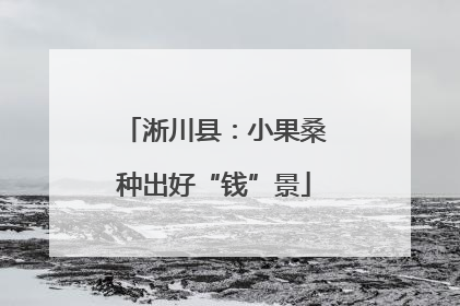 淅川县：小果桑种出好“钱”景