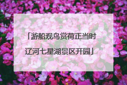游船观鸟赏荷正当时 辽河七星湖景区开园