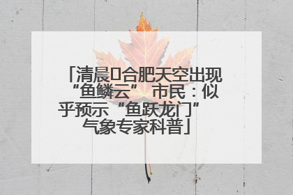 清晨﻿合肥天空出现“鱼鳞云” 市民：似乎预示“鱼跃龙门” 气象专家科普