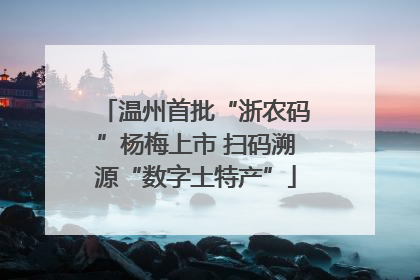 温州首批“浙农码”杨梅上市 扫码溯源“数字土特产”