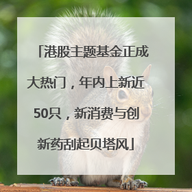 港股主题基金正成大热门，年内上新近50只，新消费与创新药刮起贝塔风