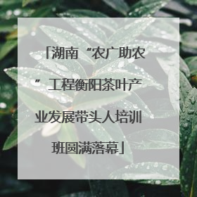 湖南“农广助农”工程衡阳茶叶产业发展带头人培训班圆满落幕