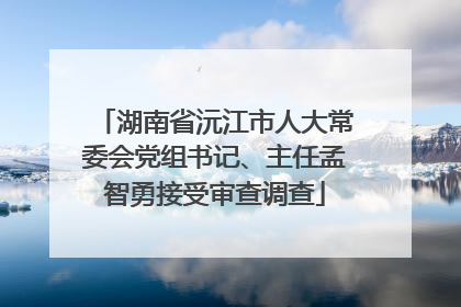 湖南省沅江市人大常委会党组书记、主任孟智勇接受审查调查