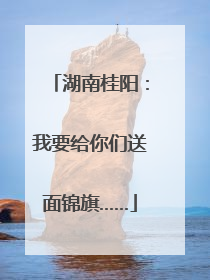 湖南桂阳：我要给你们送面锦旗……