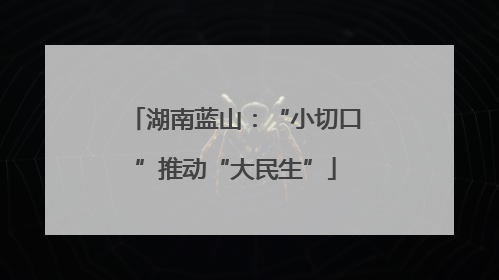湖南蓝山：“小切口”推动“大民生”