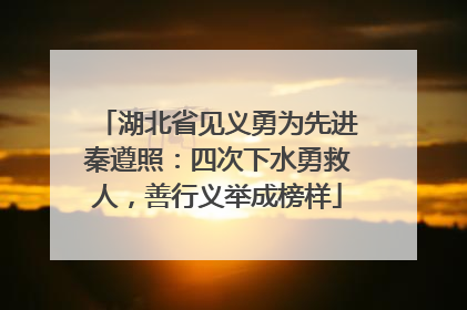 湖北省见义勇为先进秦遵照：四次下水勇救人，善行义举成榜样