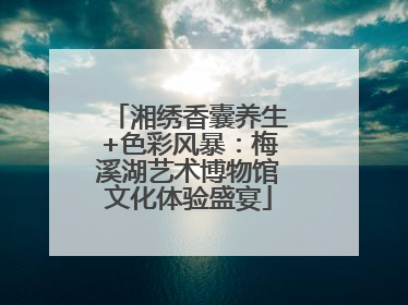 湘绣香囊养生+色彩风暴：梅溪湖艺术博物馆文化体验盛宴