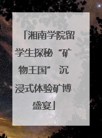 湘南学院留学生探秘“矿物王国” 沉浸式体验矿博盛宴
