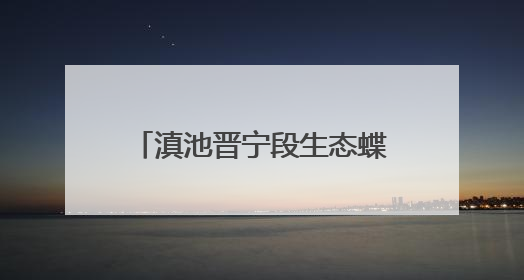 滇池晋宁段生态蝶变，鸟类从89种增至175种！