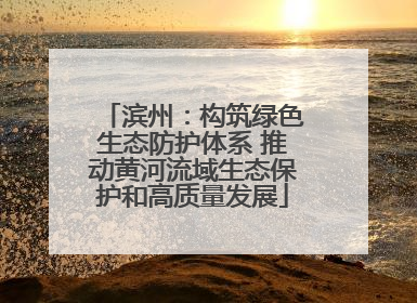 滨州：构筑绿色生态防护体系 推动黄河流域生态保护和高质量发展