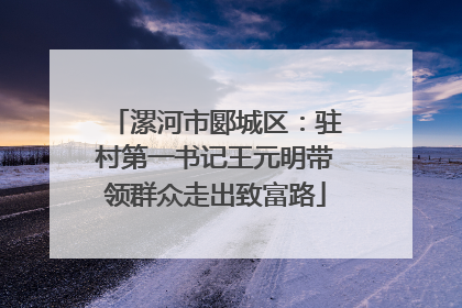 漯河市郾城区：驻村第一书记王元明带领群众走出致富路