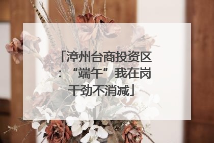 漳州台商投资区：“端午”我在岗 干劲不消减