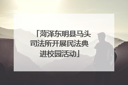 菏泽东明县马头司法所开展民法典进校园活动