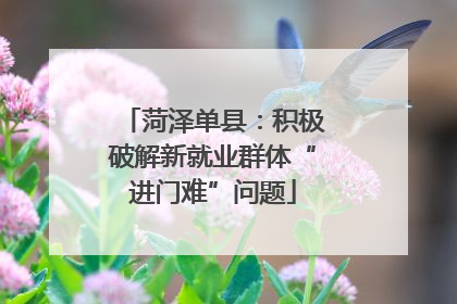 菏泽单县：积极破解新就业群体“进门难”问题