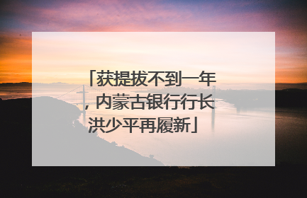 获提拔不到一年，内蒙古银行行长洪少平再履新
