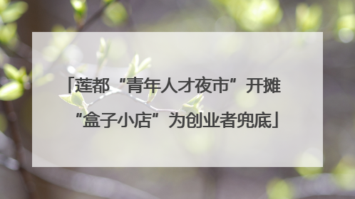 莲都“青年人才夜市”开摊 “盒子小店”为创业者兜底