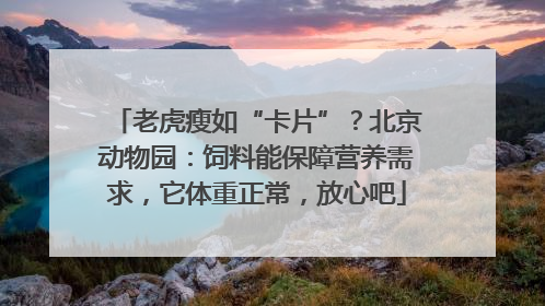 老虎瘦如“卡片”？北京动物园：饲料能保障营养需求，它体重正常，放心吧