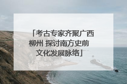 考古专家齐聚广西柳州 探讨南方史前文化发展脉络